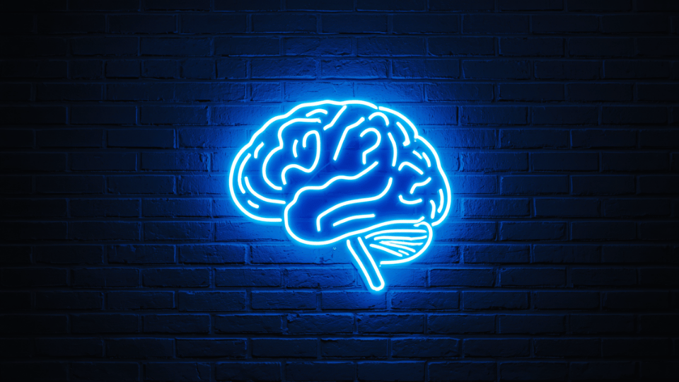 Global Forum: Google DeepMind Launches New Research Institute to Shape General Intelligence Rules